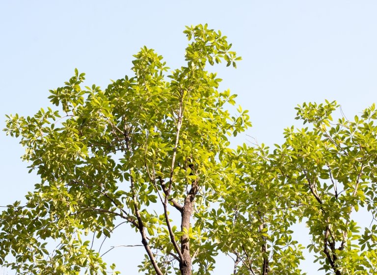 Ich bin ein Teil davon!